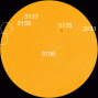 All of today's sunspots have stable magnetic fields that pose almost no threat for strong solar flares. [Photo courtesy of NASA SDO/HMI]