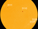 All of these sunspots are stable and quiet. [Photo courtesy of NASA SDO/HMI]