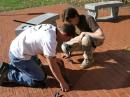 The masons contemplate the best way to place the new bricks in the Diamond Terrace. [S. Khrystyne Keane, K1SFA, Photo]